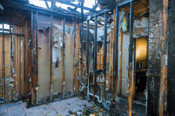 Professional Fire Damage Assessment technician working in Mount Clemens, MI